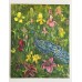 Peacock in the Garden - oil painting Peacock in the Garden - oil painting